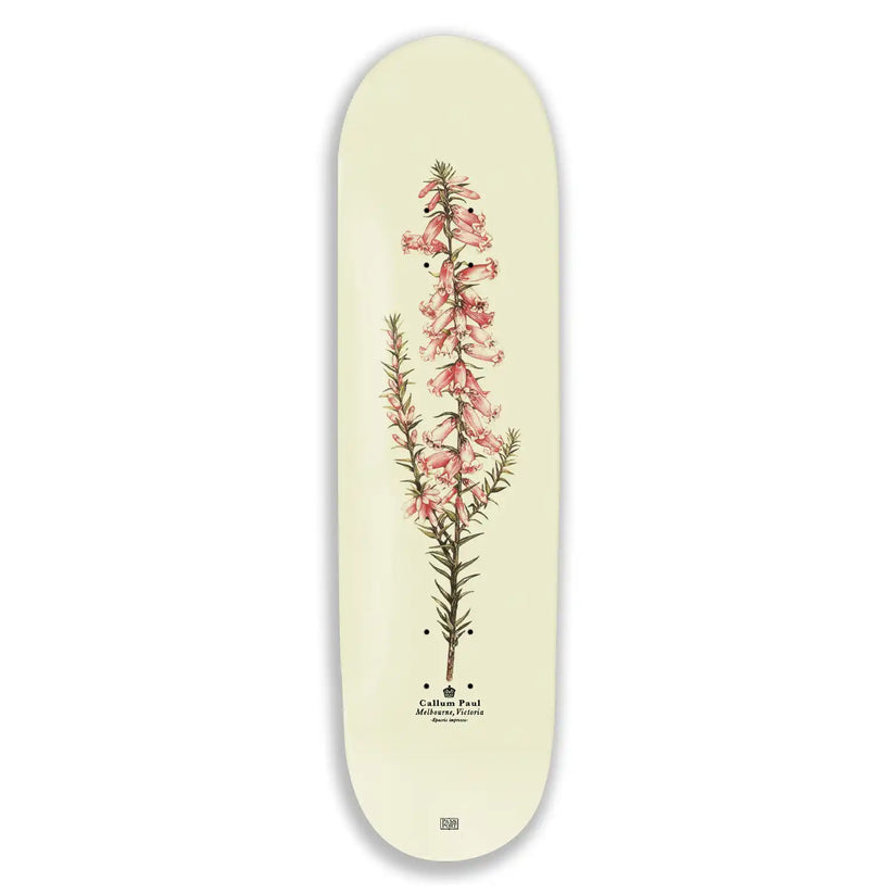 Passport - Pink Heath Reissue Callum - 8.25