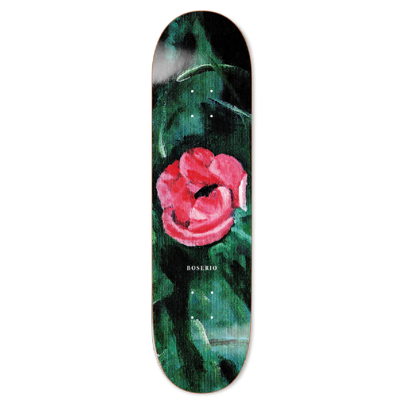 Polar - Nick Boserio Amaryllis - 8.375