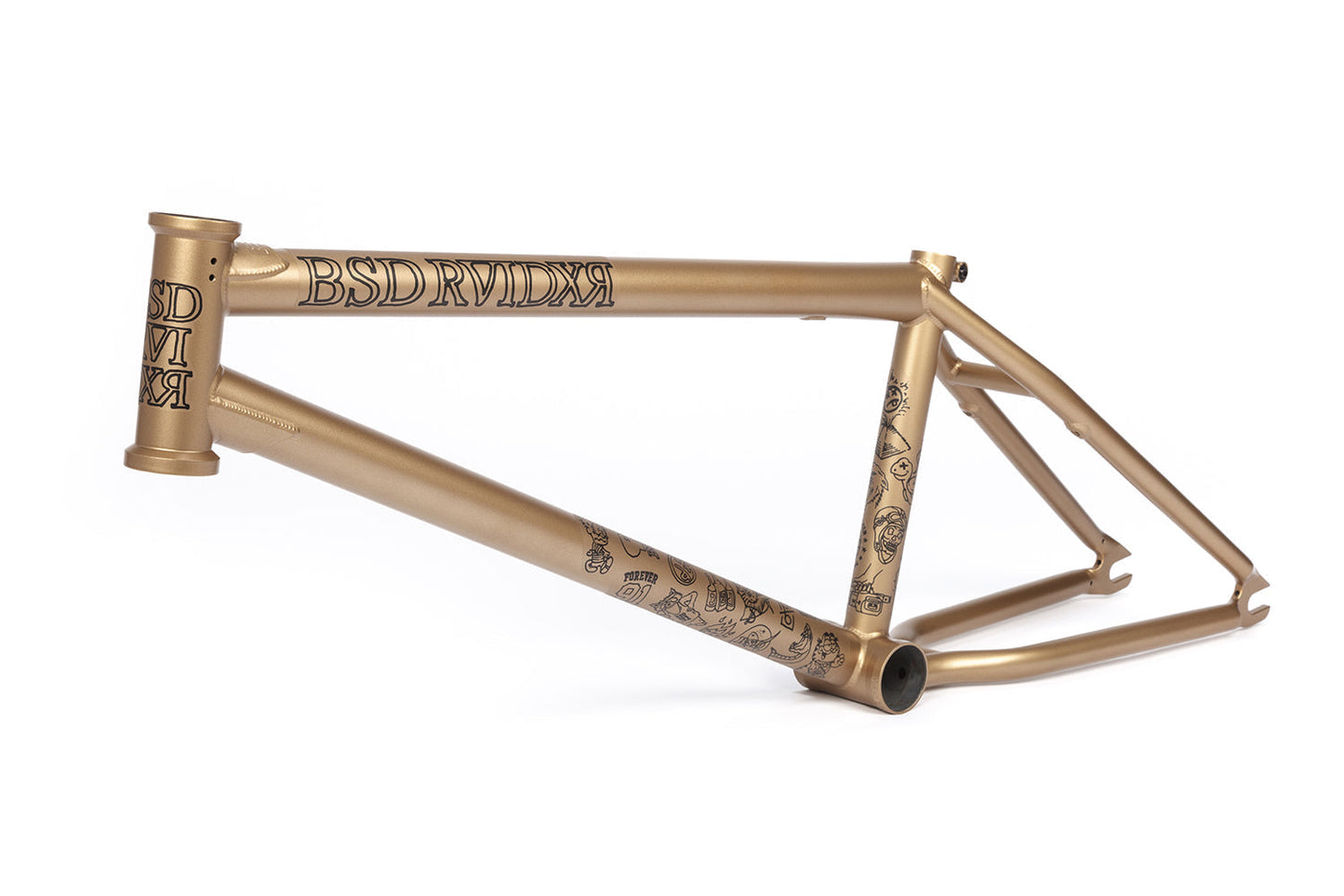 BSD RAIDER FRAME
