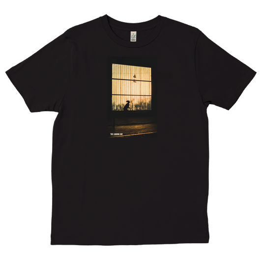1. TLB Amy Sunset Tshirt