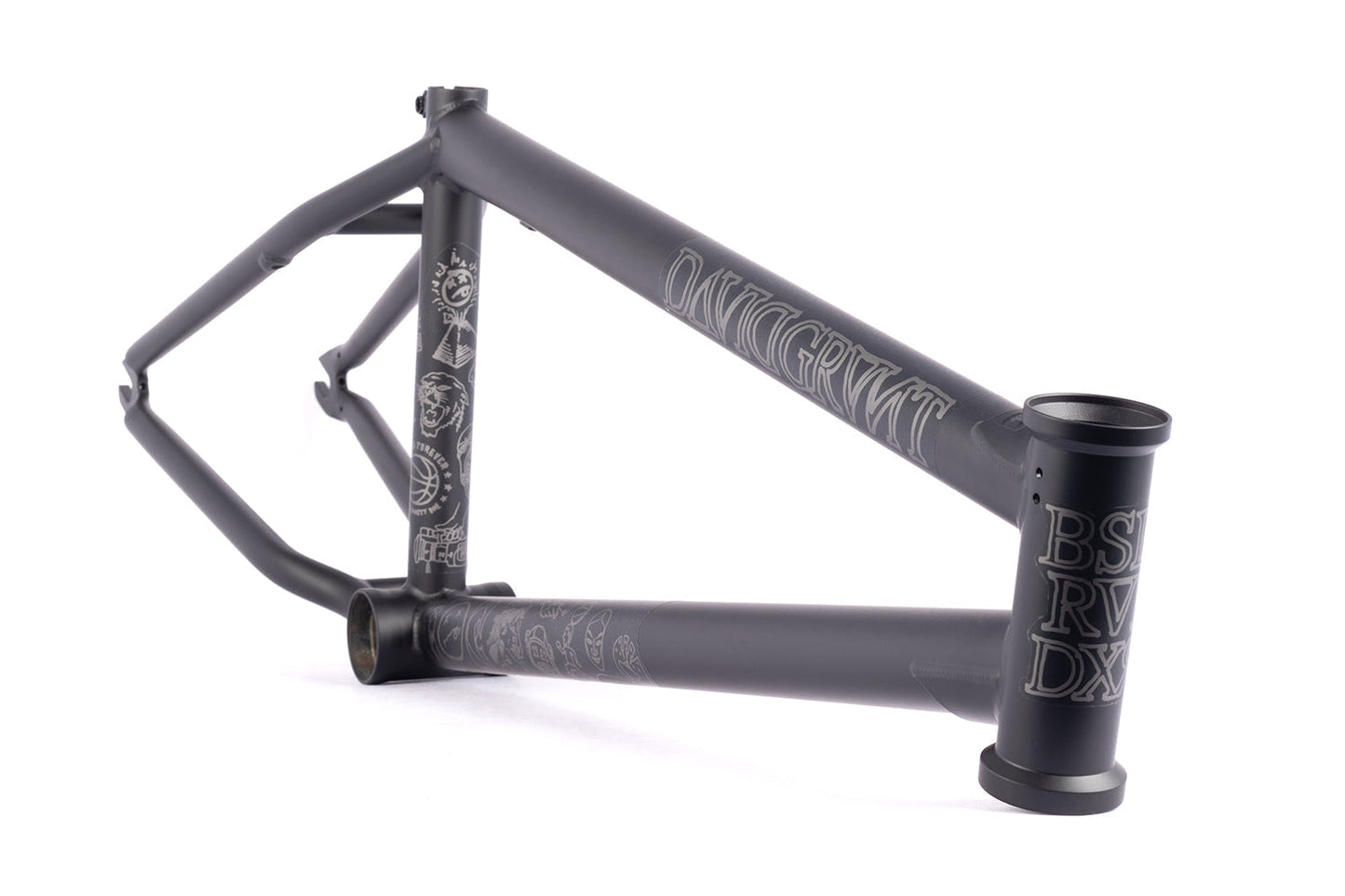 BSD RAIDER FRAME